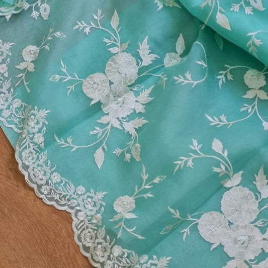 Blue Banarasi Organza Silk Embroidery Saree