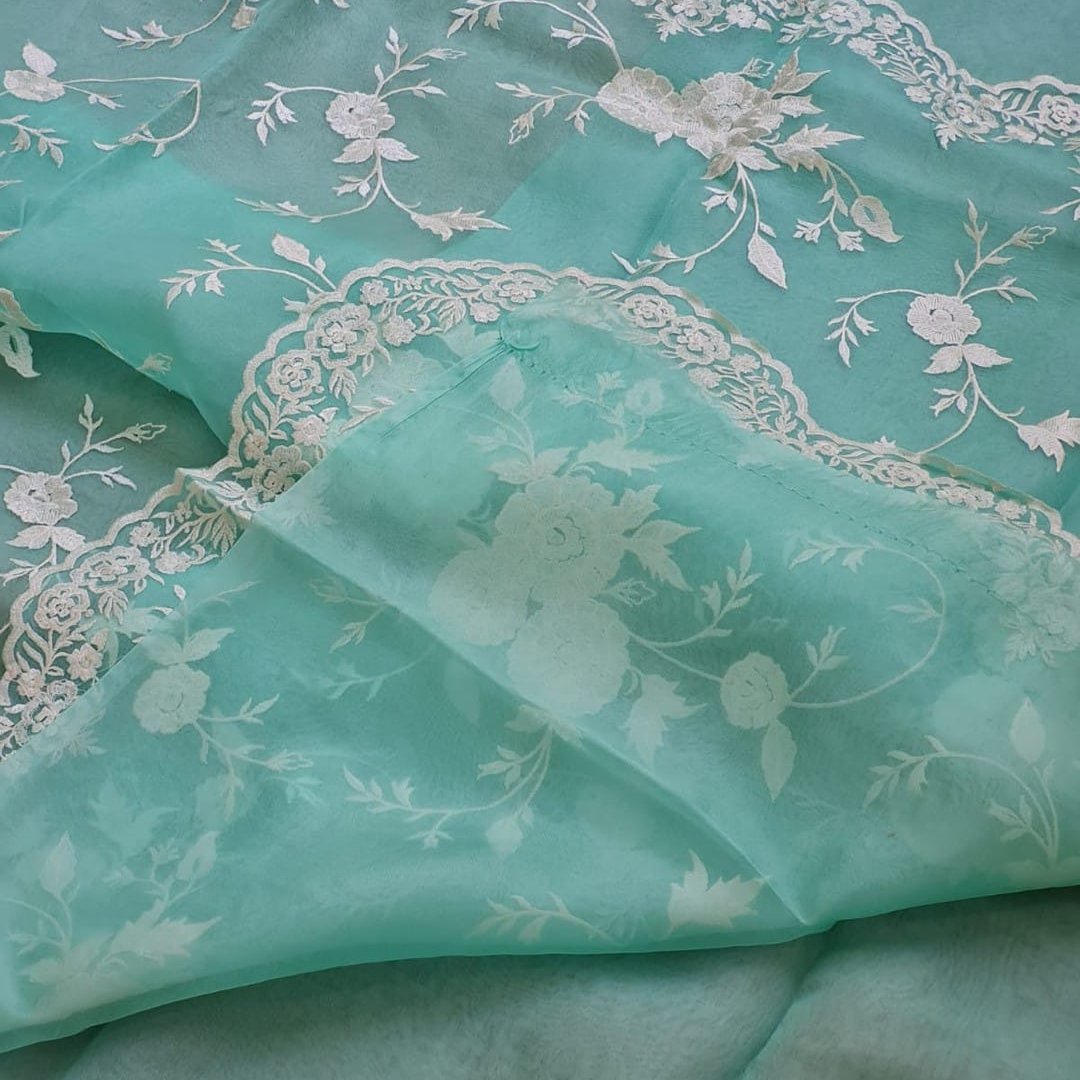 Blue Banarasi Organza Silk Embroidery Saree