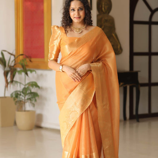 Orange Banarasi Tissue Silk Saree