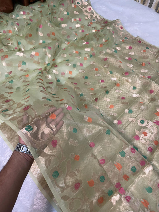 Light Green Banarasi Kora Organze Silk Saree Alna Apparels